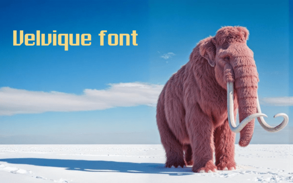 Velvique: The Premium Display Font for Modern Campaigns